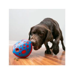 Kong Rewards Wally -Spielzeug Pet kong rewards wally hond 201329 2000 none