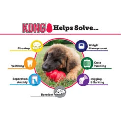 KONG Senior -Spielzeug Pet kong senior 98867 0500 none