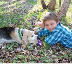 KONG Senior -Spielzeug Pet kong senior 98873 0500 none