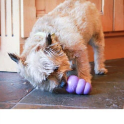 KONG Senior -Spielzeug Pet kong senior 98876 0500 none