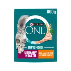 Purina ONE Adult Urinary Health