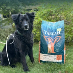 Yarrah Bio Senior Hundefutter - Huhn, Fisch Und Kräutern -Spielzeug Pet nwdUPz1E9AbT1i9f6KojxgA4YR38we metaWWFycmFoLS0tRHJvb2d2b2VyLUhvbmQtU2VuaW9yLUJpbzIuanBn