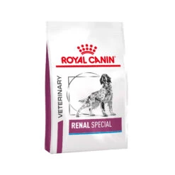 Royal Canin Renal Special (RSF 13) Hundefutter