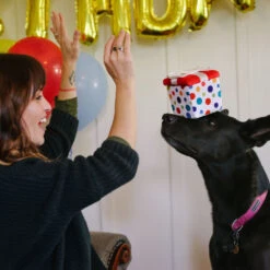 P.L.A.Y. Pet Party Time Collection - Pawfect Present -Spielzeug Pet party time collection pawfect present 198611 1000 none