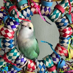 Petlala Knister Sonne -Spielzeug Pet petlala crinkle sun 229355 0500 none