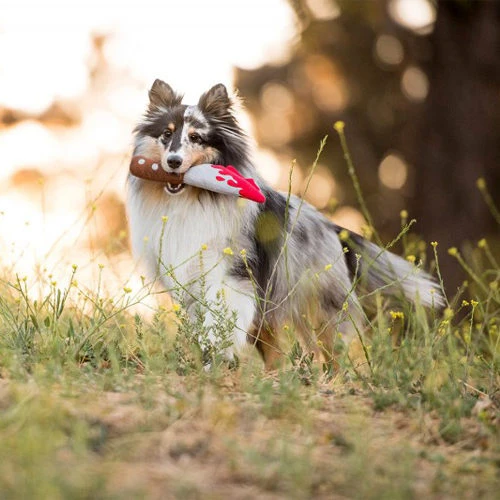 P.L.A.Y. Pet Howling Haunts - Doggy Dagger 3 P.L.A.Y. Pet Howling Haunts - Doggy Dagger – Bild 3