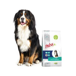 Prins ProCare Croque Veterinary Diet - Renal Support -Spielzeug Pet prins procare croque renal support 171433 1500 none