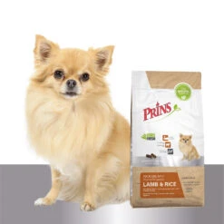 Prins ProCare Mini Lamb & Rice 11 Prins ProCare Mini Lamb & Rice -Spielzeug Pet prins procare mini lamb rice hypoallergenic 171730 1500 none