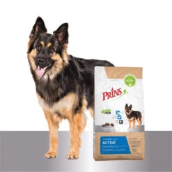 Prins ProCare Super Active -Spielzeug Pet prins procare super active 171691 1500 none