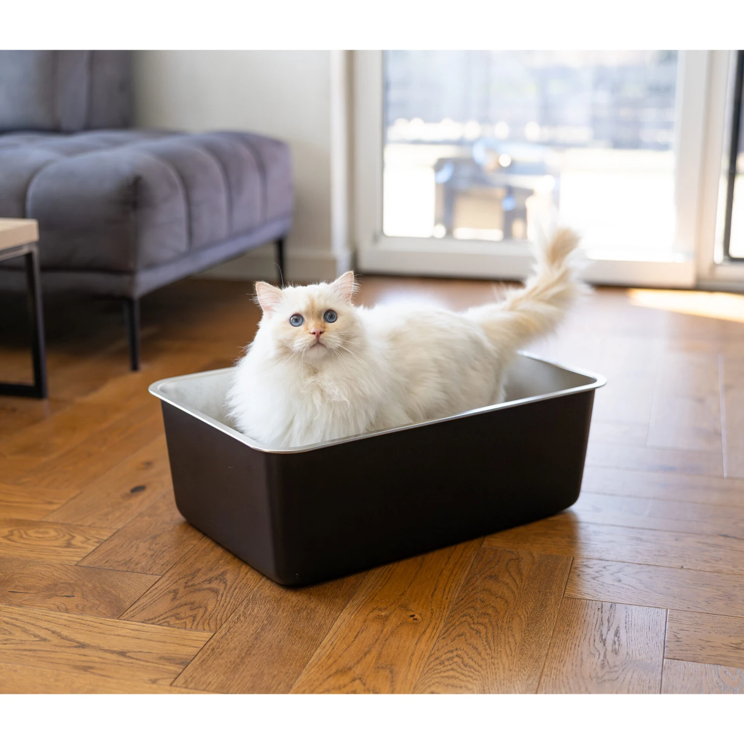 Quapas! Edelstahl-Katzenklo 4 Quapas! Edelstahl-Katzenklo – Bild 4