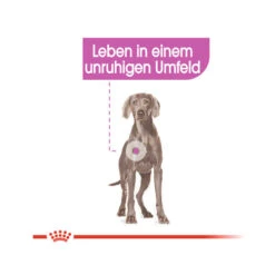 Royal Canin Maxi Relax Care Hundefutter -Spielzeug Pet royal canin maxi relax care hundefutter 1