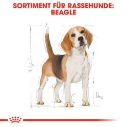Royal Canin Beagle Adult Hundefutter -Spielzeug Pet royal canin beagle adult hondenvoer 137293 1000 none