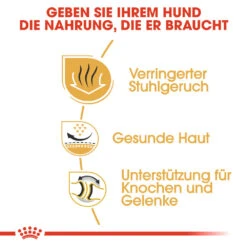 Royal Canin Bulldog Adult Hundefutter 12 Royal Canin Bulldog Adult Hundefutter -Spielzeug Pet royal canin bulldog adult hondenvoer 137659 1000 none