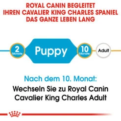 Royal Canin Cavalier King Charles Puppy Hundefutter -Spielzeug Pet royal canin cavalier king charles puppy hondenvoer 137905 1000 none
