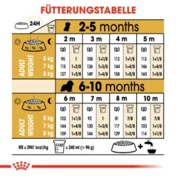 Royal Canin Cavalier King Charles Puppy Hundefutter -Spielzeug Pet royal canin cavalier king charles puppy hondenvoer 137941 1000 none