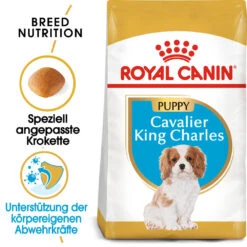 Royal Canin Cavalier King Charles Puppy Hundefutter -Spielzeug Pet royal canin cavalier king charles puppy hondenvoer 142808 1000 none