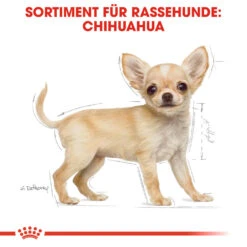 Royal Canin Chihuahua Puppy Hundefutter -Spielzeug Pet royal canin chihuahua puppy hondenvoer 138049 1000 none