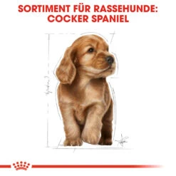 Royal Canin Cocker Puppy Hundefutter -Spielzeug Pet royal canin cocker puppy hondenvoer 138226 1000 none