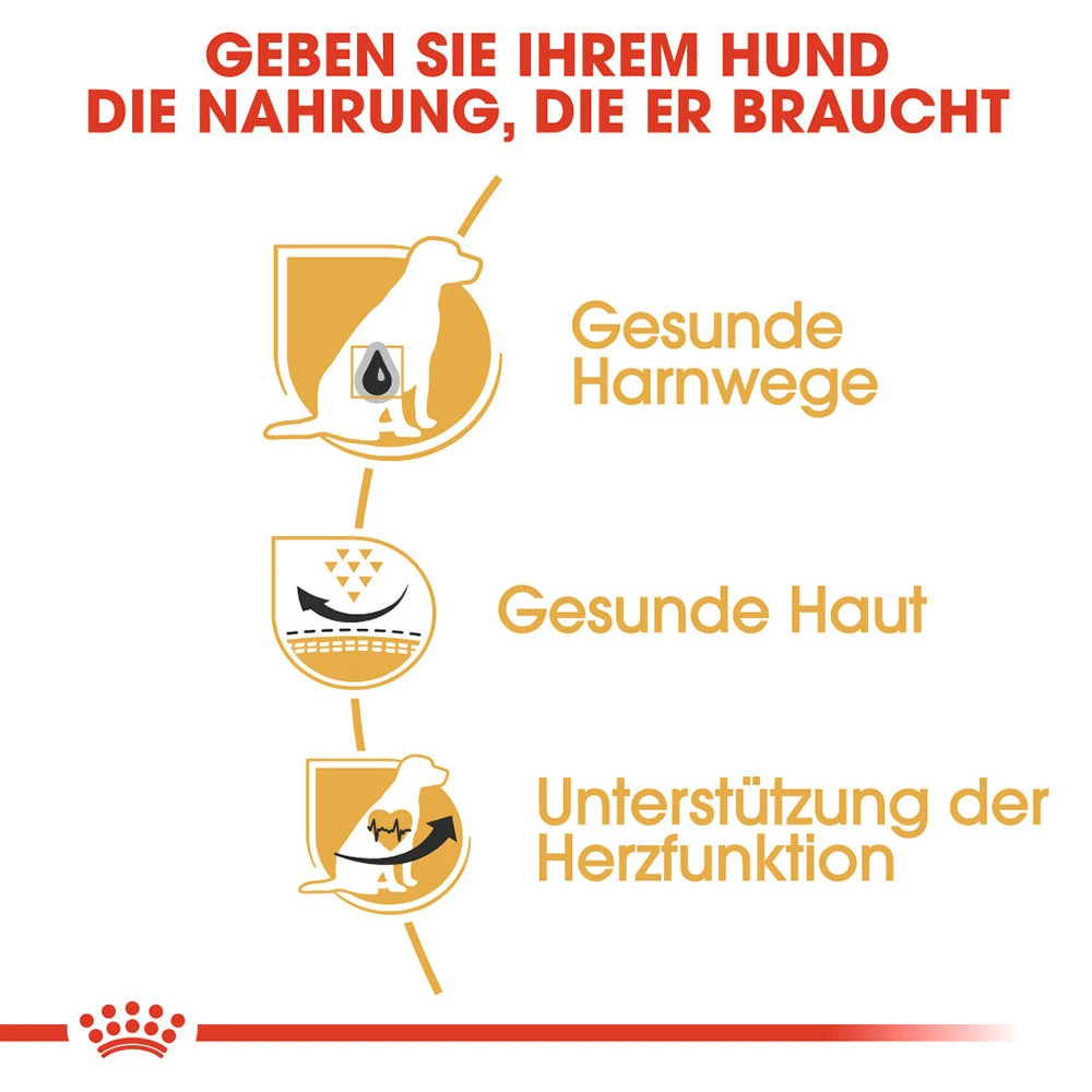 Royal Canin Dalmatian Adult Hundefutter 2 Royal Canin Dalmatian Adult Hundefutter – Bild 2