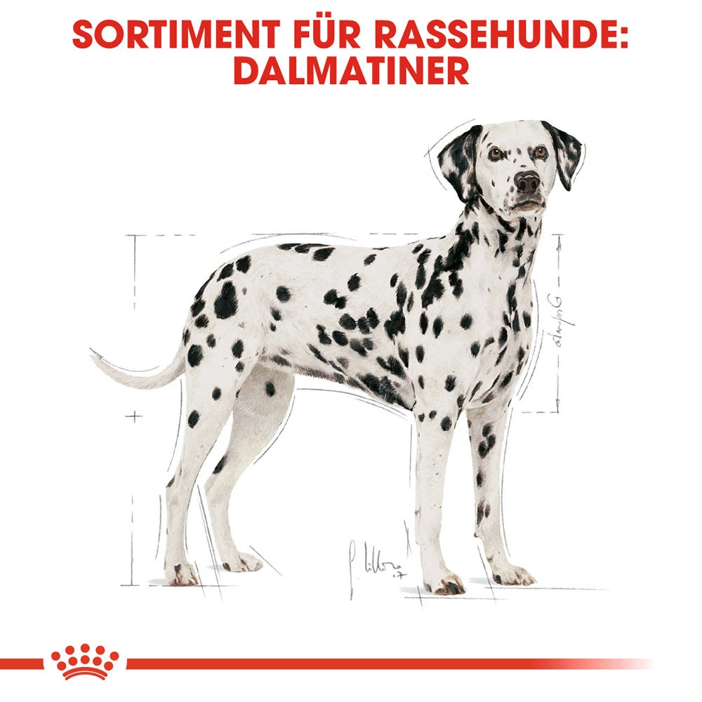 Royal Canin Dalmatian Adult Hundefutter 4 Royal Canin Dalmatian Adult Hundefutter – Bild 4
