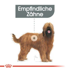 Royal Canin Maxi Dental Care Hundefutter -Spielzeug Pet royal canin dental care maxi hondenvoer 130862 1000 none