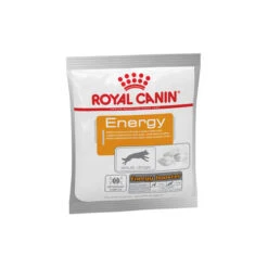 Royal Canin Energy -Spielzeug Pet royal canin energy hond 156569 0500 none