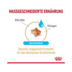 Royal Canin German Shepherd Adult 5+ - Hundefutter 10 Royal Canin German Shepherd Adult 5+ - Hundefutter -Spielzeug Pet royal canin german shepherd adult 5 165106 2000 none