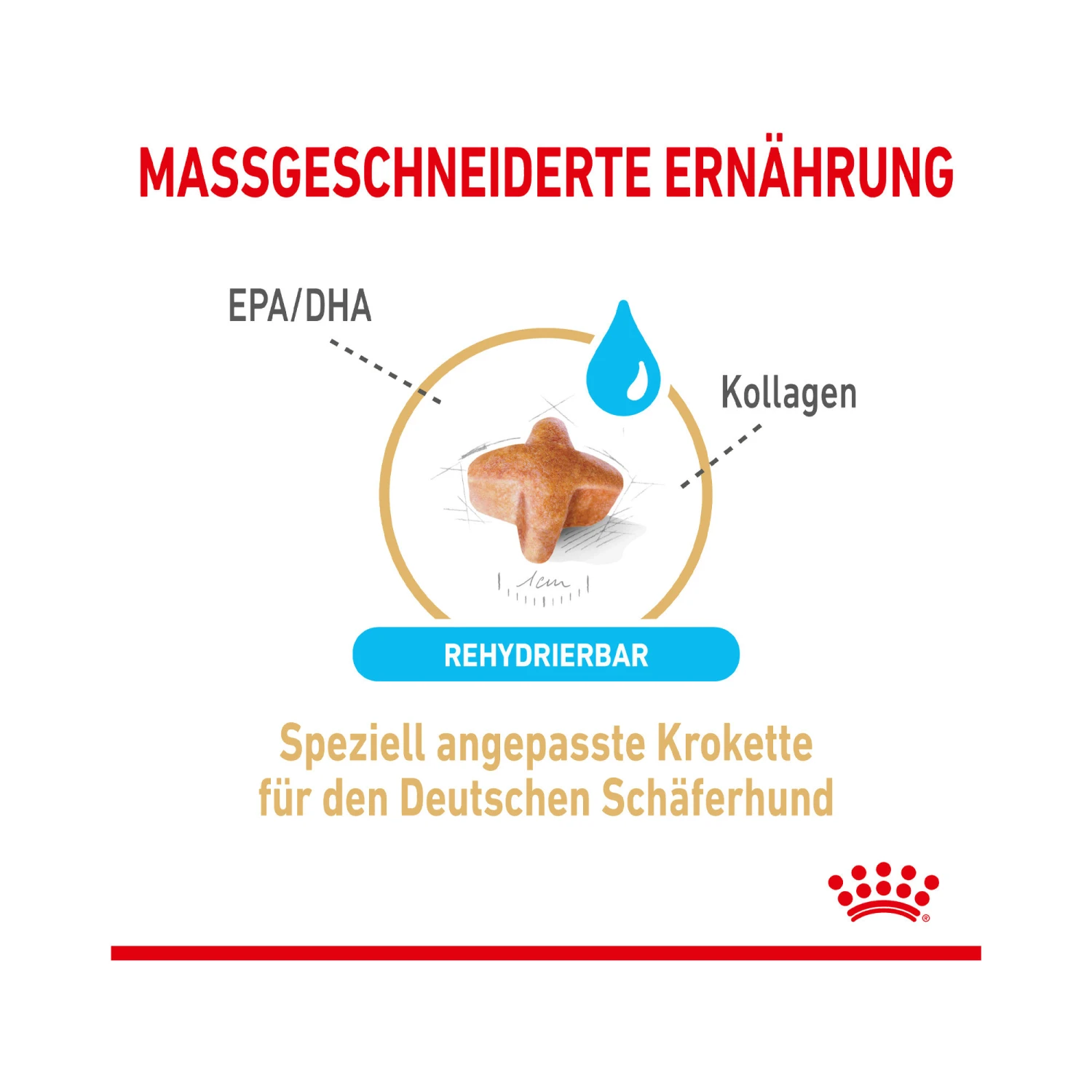 Royal Canin German Shepherd Adult 5+ - Hundefutter 4 Royal Canin German Shepherd Adult 5+ - Hundefutter – Bild 4