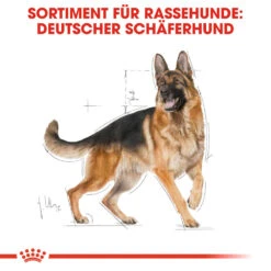 Royal Canin German Shepherd Adult Hundefutter -Spielzeug Pet royal canin german shepherd adult hondenvoer 138751 1000 none