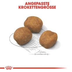 Royal Canin Giant Puppy Hundefutter -Spielzeug Pet royal canin giant puppy 118248 2000 none