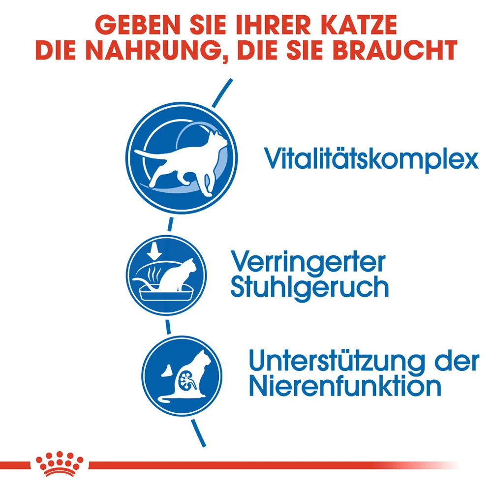 Royal Canin Indoor 7+ Katzenfutter 2 Royal Canin Indoor 7+ Katzenfutter – Bild 2