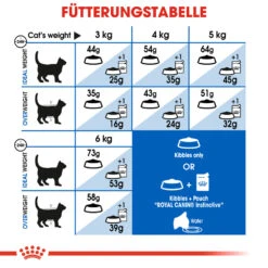 Royal Canin Indoor Long Hair Katzenfutter -Spielzeug Pet royal canin indoor long hair kattenvoer 127283 1000 none