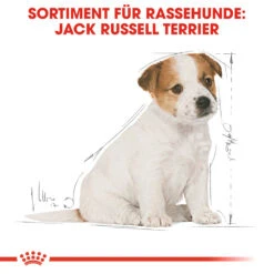 Royal Canin Jack Russell Terrier Puppy Hundefutter -Spielzeug Pet royal canin jack russell terrier puppy hondenvoer 139318 1000 none