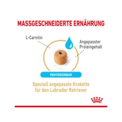 Royal Canin Labrador Retriever Adult 5+ Hundefutter -Spielzeug Pet royal canin labrador retriever adult 5 165142 2000 none