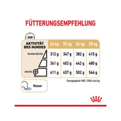 Royal Canin Labrador Retriever Adult 5+ Hundefutter -Spielzeug Pet royal canin labrador retriever adult 5 165172 2000 none