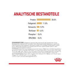 Royal Canin Labrador Retriever Adult 5+ Hundefutter -Spielzeug Pet royal canin labrador retriever adult 5 165175 2000 none