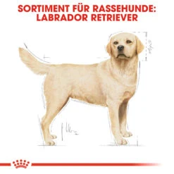 Royal Canin Labrador Retriever Adult Hundefutter -Spielzeug Pet royal canin labrador retriever adult hondenvoer 139351 1000 none