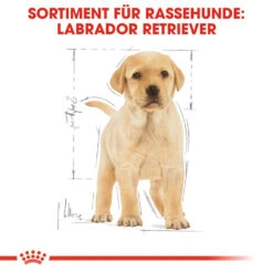 Royal Canin Labrador Retriever Puppy Hundefutter -Spielzeug Pet royal canin labrador retriever puppy hondenvoer 139438 1000 none