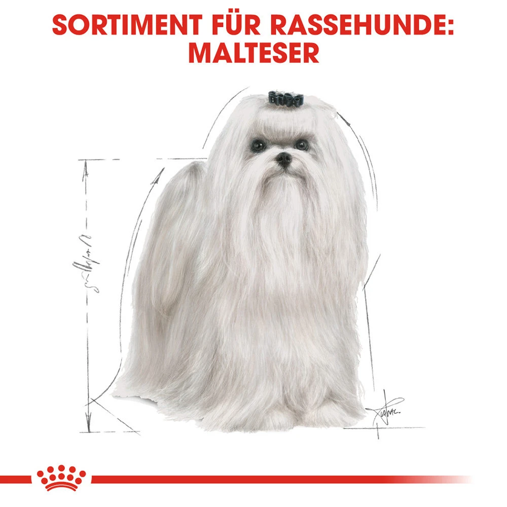 Royal Canin Maltese Adult - Hundefutter 4 Royal Canin Maltese Adult - Hundefutter – Bild 4