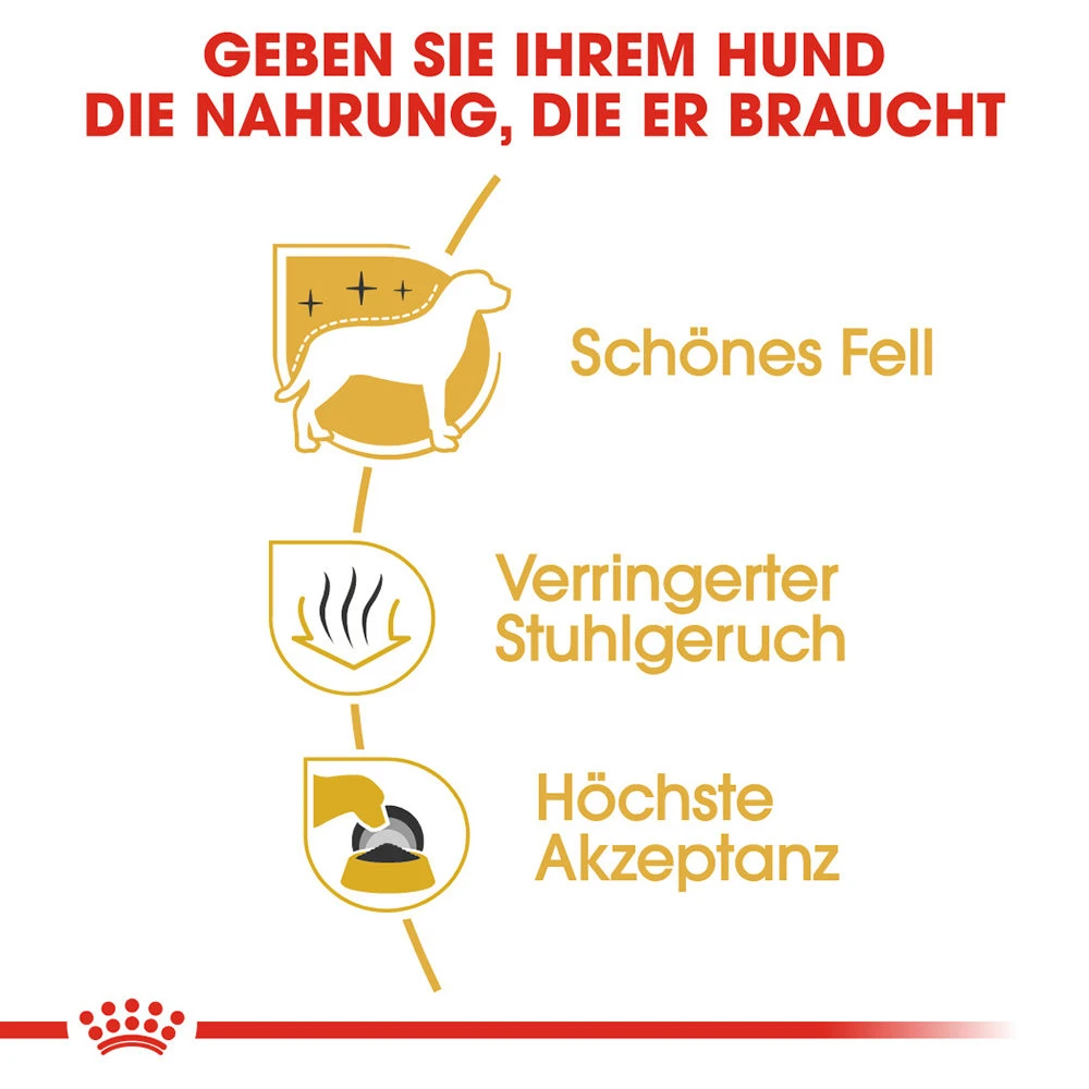 Royal Canin Maltese Adult - Hundefutter 2 Royal Canin Maltese Adult - Hundefutter – Bild 2