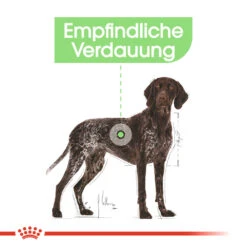 Royal Canin Maxi Digestive Care Hundefutter -Spielzeug Pet royal canin maxi digestive care hondenvoer 132482 1000 none