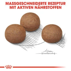 Royal Canin Maxi Digestive Care Hundefutter -Spielzeug Pet royal canin maxi digestive care hondenvoer 132494 1000 none
