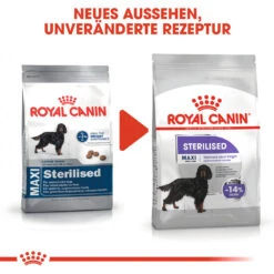 Royal Canin Maxi Sterilised Hundefutter 15 Royal Canin Maxi Sterilised Hundefutter -Spielzeug Pet royal canin maxi sterilised hondenvoer 132653 1000 none