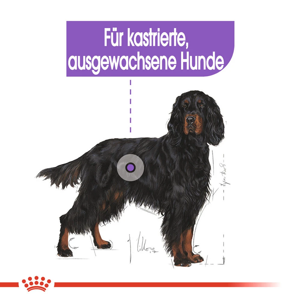 Royal Canin Maxi Sterilised Hundefutter 3 Royal Canin Maxi Sterilised Hundefutter – Bild 3