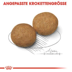 Royal Canin Medium Adult Hundefutter 14 Royal Canin Medium Adult Hundefutter -Spielzeug Pet royal canin medium adult hondenvoer 128546 1000 none