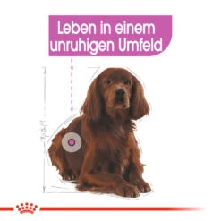Royal Canin Medium Relax Care Hundefutter -Spielzeug Pet royal canin medium relax care hondenvoer 131183 1000 none