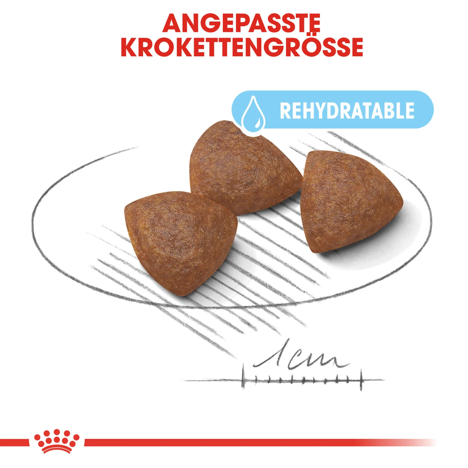 Royal Canin Medium Starter Mother & Babydog - Hundefutter 4 Royal Canin Medium Starter Mother & Babydog - Hundefutter – Bild 4