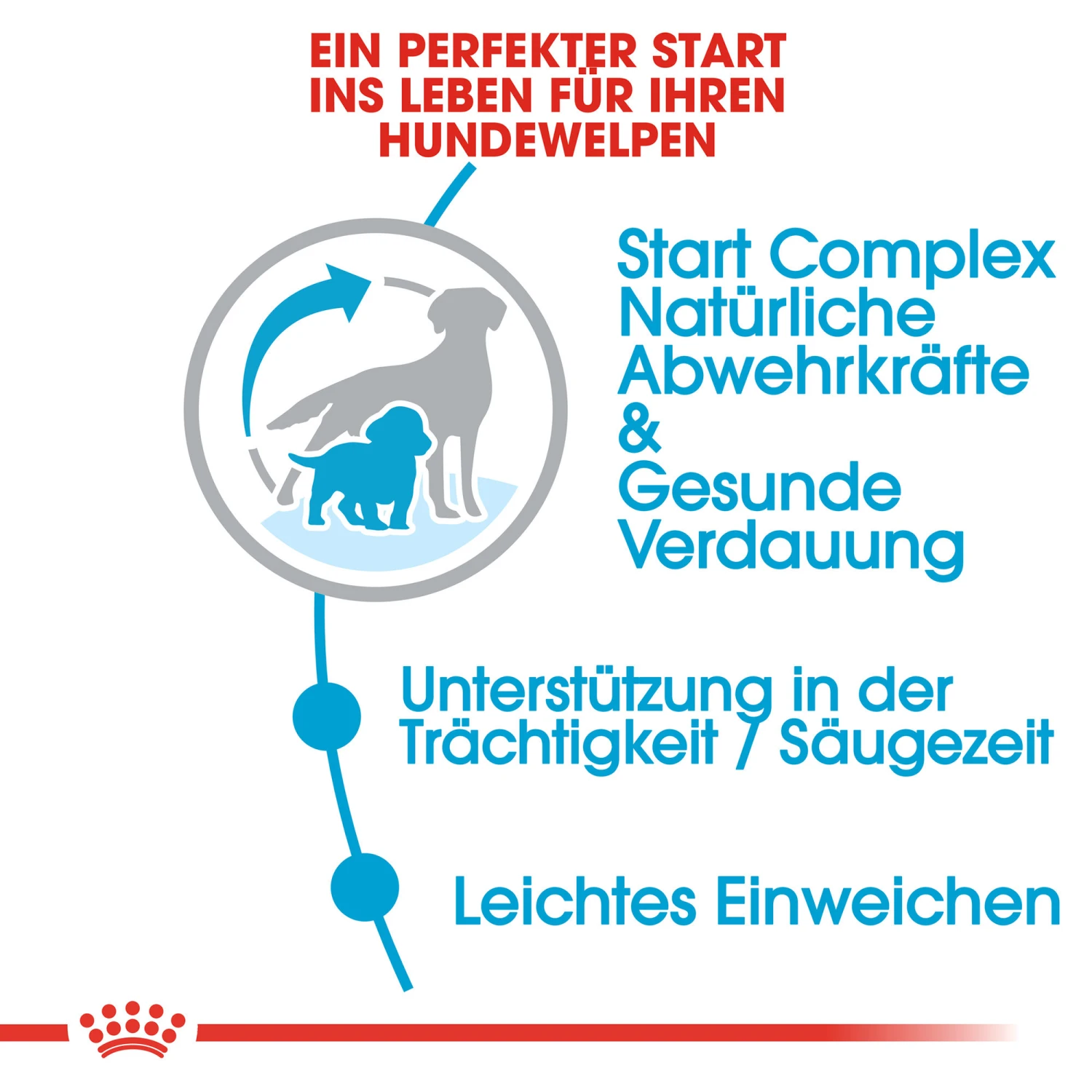 Royal Canin Medium Starter Mother & Babydog - Hundefutter 3 Royal Canin Medium Starter Mother & Babydog - Hundefutter – Bild 3