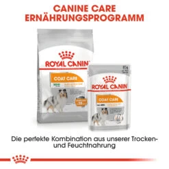 Royal Canin Mini Coat Care Hundefutter 17 Royal Canin Mini Coat Care Hundefutter -Spielzeug Pet royal canin mini coat care hondenvoer 131144 1000 none