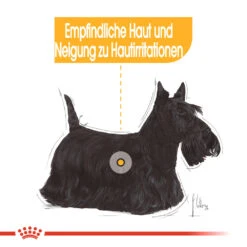 Royal Canin Dermacomfort Mini Hundefutter 14 Royal Canin Dermacomfort Mini Hundefutter -Spielzeug Pet royal canin mini dermacomfort hondenvoer 132977 1000 none
